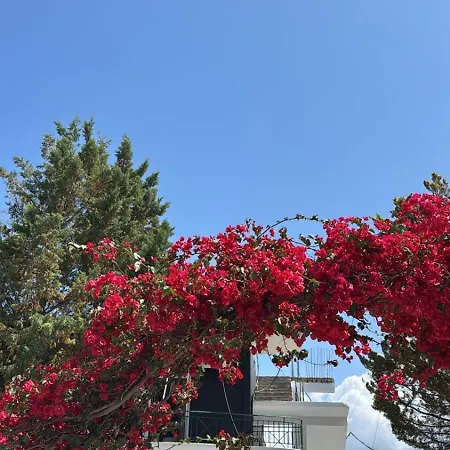 מלון Noemi's קסאמיל