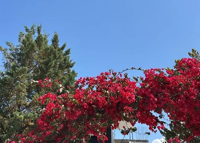 Hotel Noemi's Ksamil